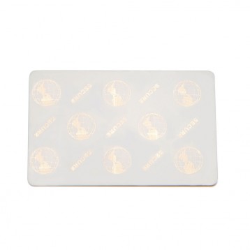 Carta Zebra premium in PVC composito con ologramma
